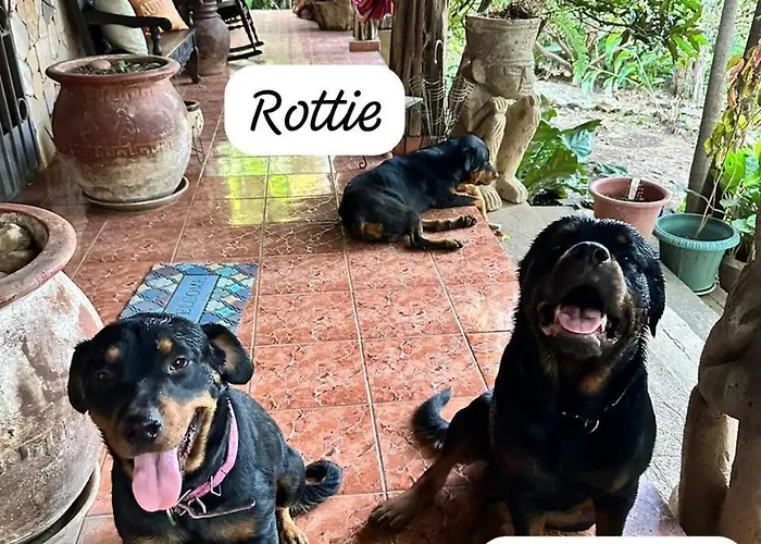 Quinta Mi Tata *